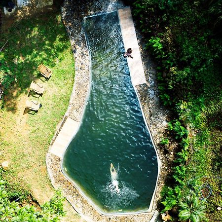 Natural Mystic Sanctuary 代尼耶耶 外观 照片