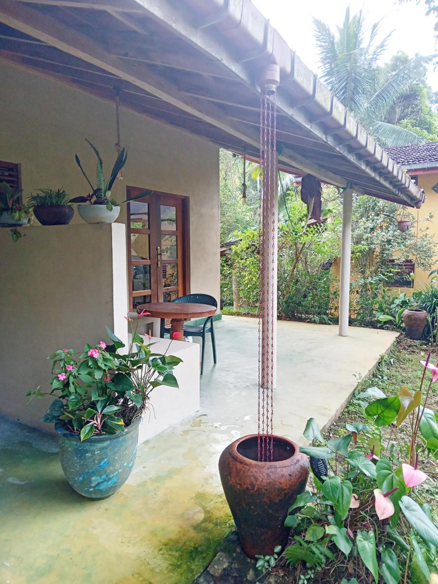 Natural Mystic Sanctuary 代尼耶耶 外观 照片
